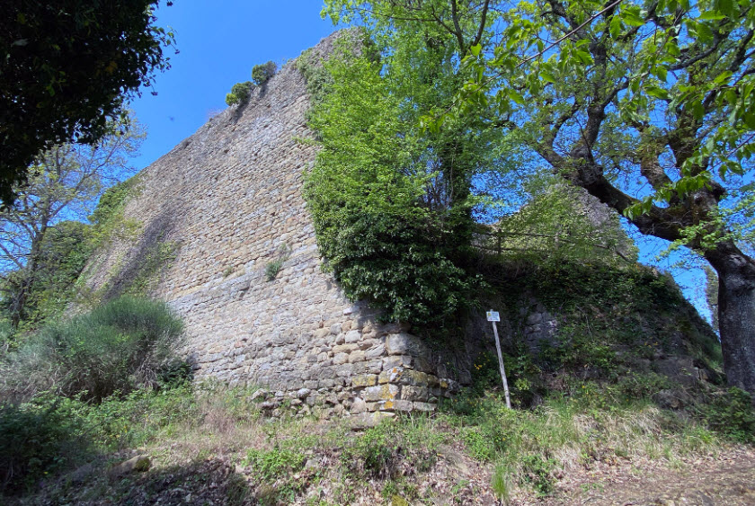 Castello di MonteDomenichi, Italy
